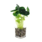 Plantă artificială FM803, verde, plastic, vas de sticlă, 25 cm