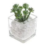Plantă artificială FM805, plastic, vas de sticlă, 10 x 6 x 6 cm